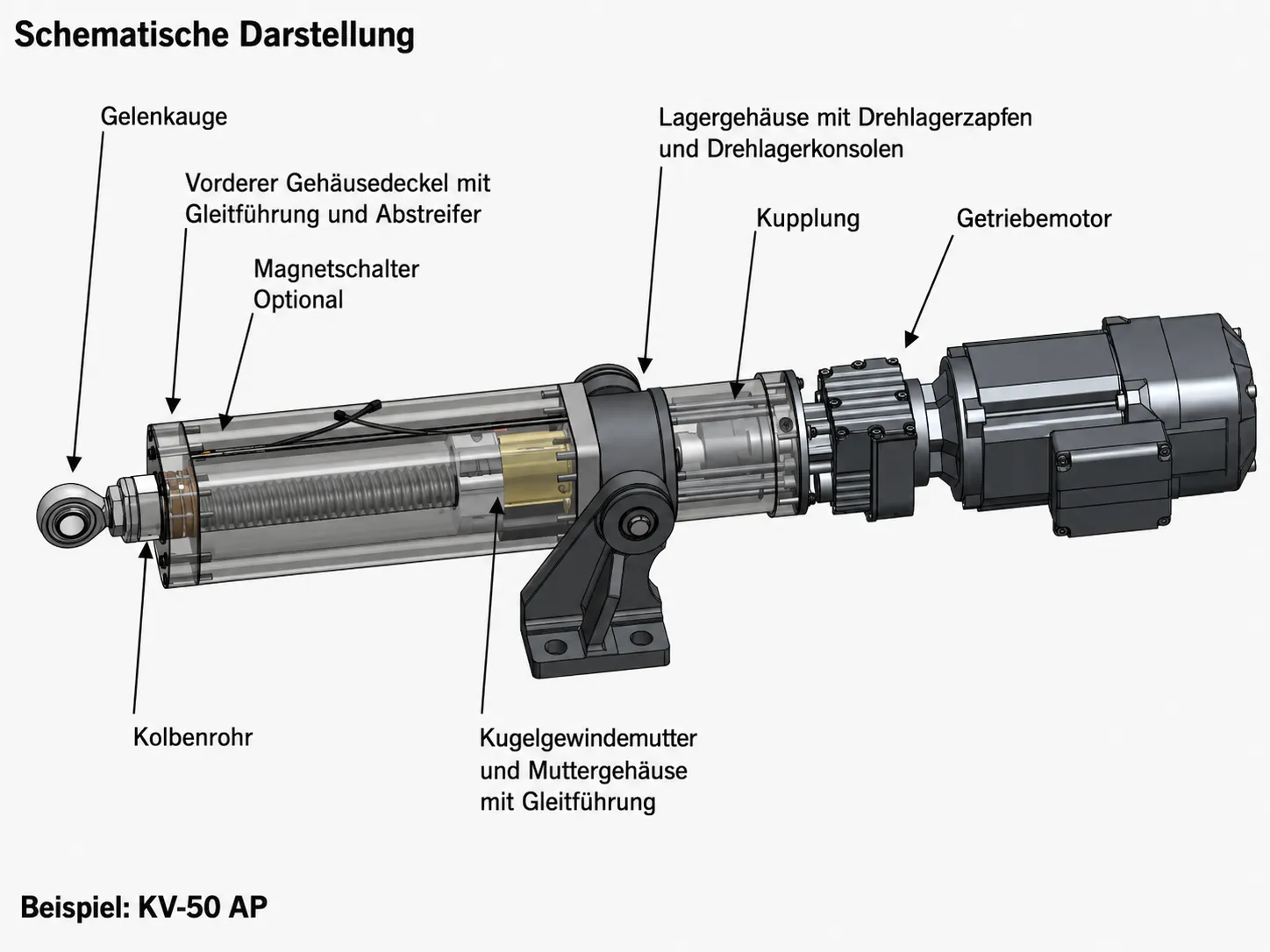 Beschriftete Schnittdarstellung eines Elektrohubzylinders (Baureihe AP) mit Gelenkauge, Kolbenrohr, Kugelgewindemutter und Muttergehäuse mit Gleitführung, Lagergehäuse mit Drehlagerzapfen, Kupplung und Getriebemotor